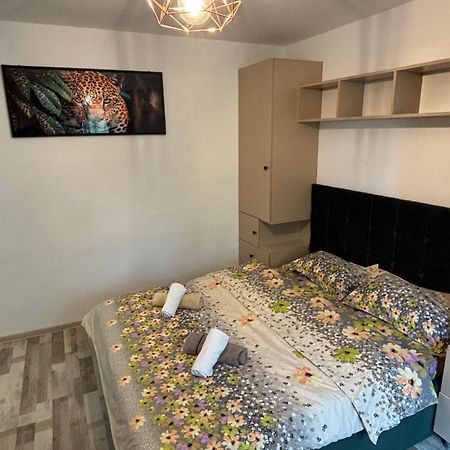 Select Apartament Bvd Stefan Cel Mare Iasi Exterior photo